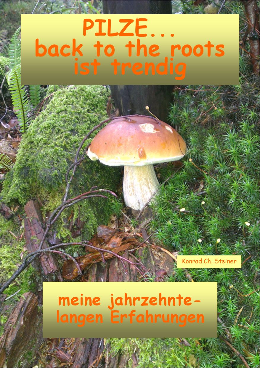 Aufgeschlagenes Pilzbuch mit Beispielseiten